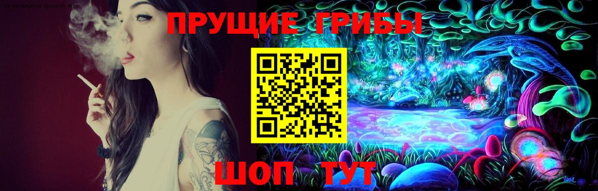 Галлюциногенные грибы мухоморы Коряжма